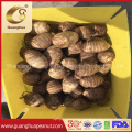 Sweet Potato Taro with Wholesale Price From China